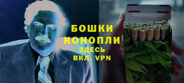 МДПВ Богородск